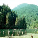 红湖，罗马尼亚