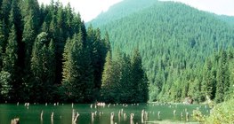 紅湖，羅馬尼亞