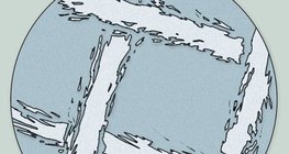 纱布的显微图像