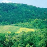 野生动物饲养场