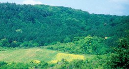 野生動物飼養場