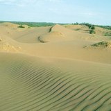 带有风纹的沙丘