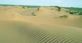 帶有風紋的沙丘