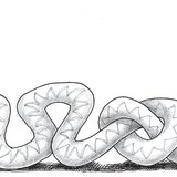 Baseballjátékos kígyó