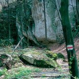 远足路径中的标记