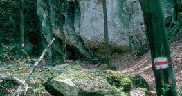 远足路径中的标记