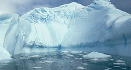 남극 대륙의 얼음