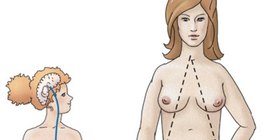 卵細胞的激素調節