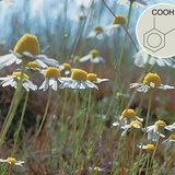 水杨酸衍生物具有积极的医疗效果