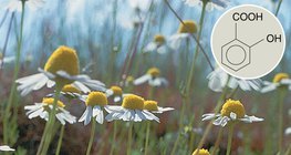 水杨酸衍生物具有积极的医疗效果