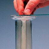 钠和氯之间的反应