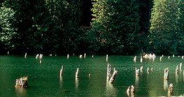 特兰西瓦尼亚的红湖是由山体滑坡形成的