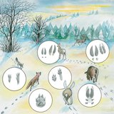 在雪地上的动物足迹