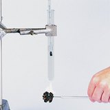 檢查核桃仁的能量密度