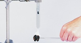 檢查核桃仁的能量密度