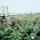 自動移動灌溉設備