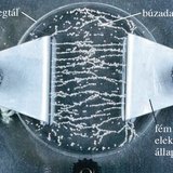 Elektromos mező hatása búzadarára – 1