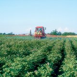 平原是对农业来说最重要的土地