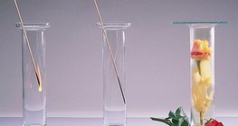 氧气助燃，氮气阻燃，氯漂白剂