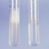 Az epehatás modellkísérlete