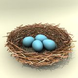 Gallery For > Animated Bird Nest