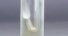 氢气继续在氯气中“燃烧”