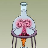 用彩色的水演示对流传热