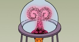 用彩色的水演示对流传热