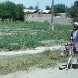 图兰平原的半荒漠地区