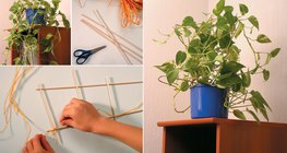 用竹籤製作花架