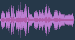 弗蘭茨·李斯特 - 聖母頌