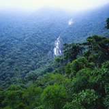 亚马逊热带雨林