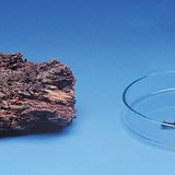 树木腐烂的慢，但燃烧的快