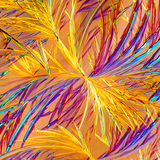 氨茶碱（药）的晶体