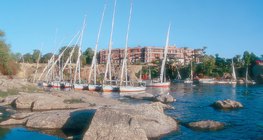 現代ナイルの眺め