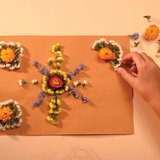 用干花制作挂图