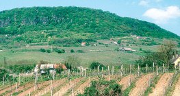 斜坡上的耕作回增加土壤的侵蚀程度