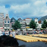 알크마르의 치즈 시장