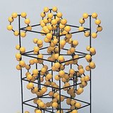 硫的晶格的型号