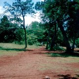 적도 지역의 전형적인 토양, 홍토