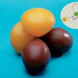 水分子的共价键