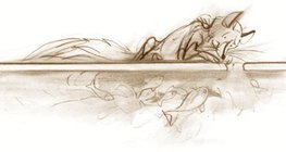 即使是冷天，水生动物也能在冰面下的“暖”水中生存