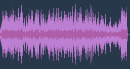 弗雷德里克·肖邦 - C小调革命练习曲