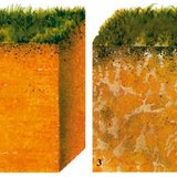 土壤类型（部分）