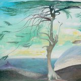 蒂沃道尔·科斯塔·查特瓦尔：孤独的雪松（1907年）