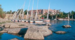 尼罗河是埃及的生命线