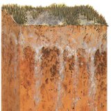 盐渍土壤的剖面