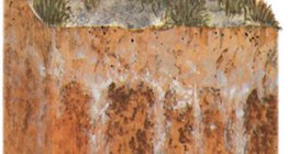 塩分土壌プロファイル