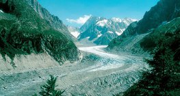 阿爾卑斯山的冰川