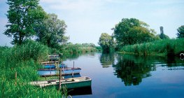 蘆葦可以過濾流入湖泊的河水